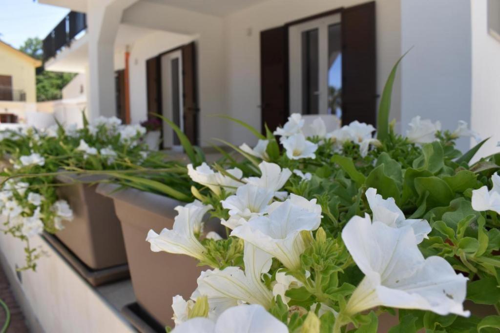 B&B Lastracu Кастеламаре дел Голфо Екстериор снимка