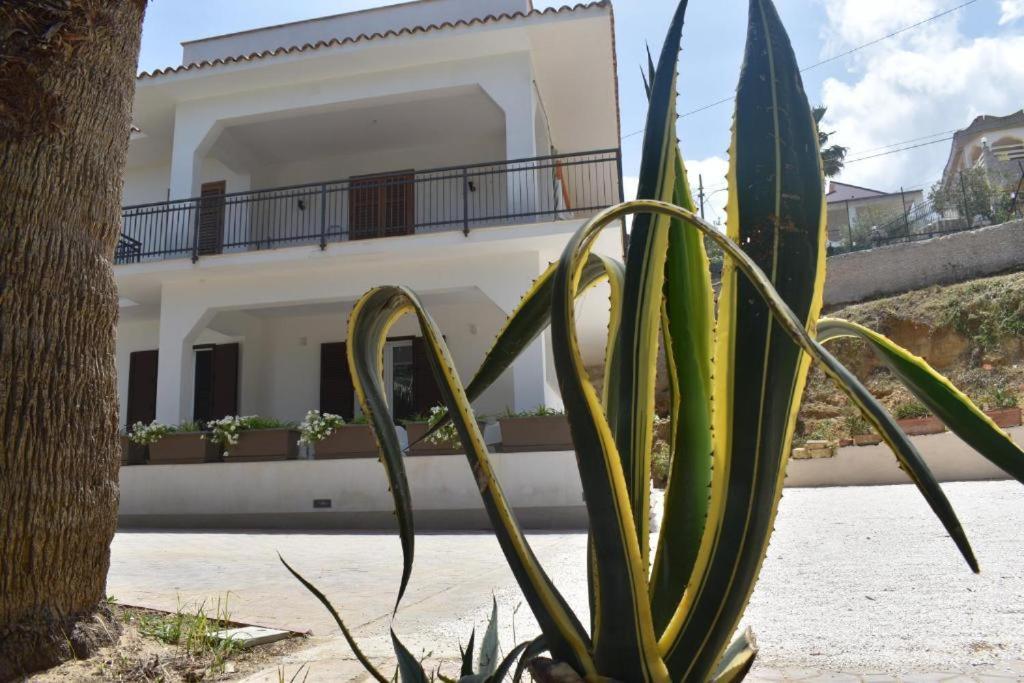 B&B Lastracu Кастеламаре дел Голфо Екстериор снимка